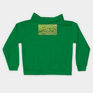 Spring grass, flowers, nature photo Kids Hoodie